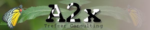 A2x Trefzer Consulting